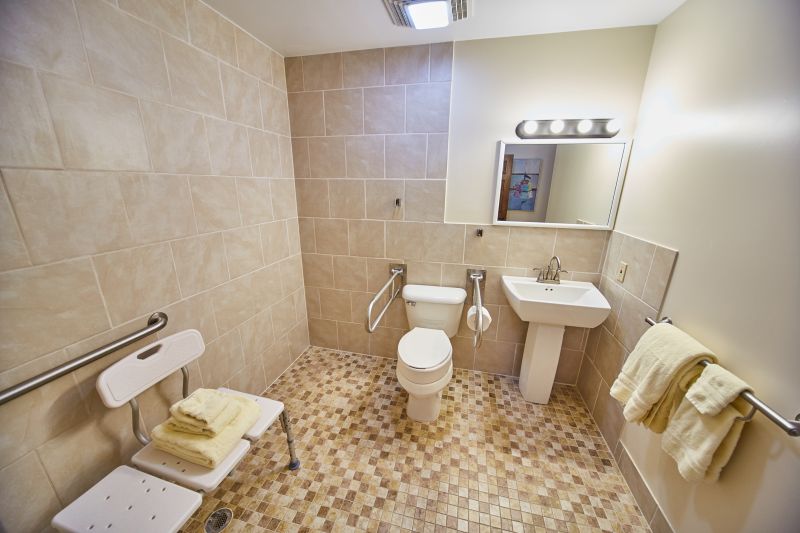 Best Bathroom Accessibility Contractors in Traverse City, MI